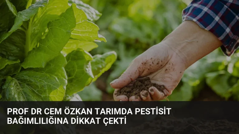 Prof Dr Cem Özkan Tarımda Pestisit Bağımlılığına Dikkat Çekti