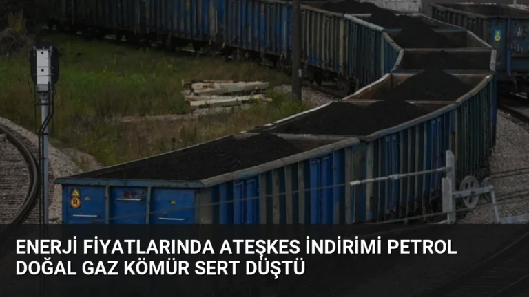 Enerji Fiyatlarında Ateşkes İndirimi Petrol Doğal Gaz Kömür Sert Düştü