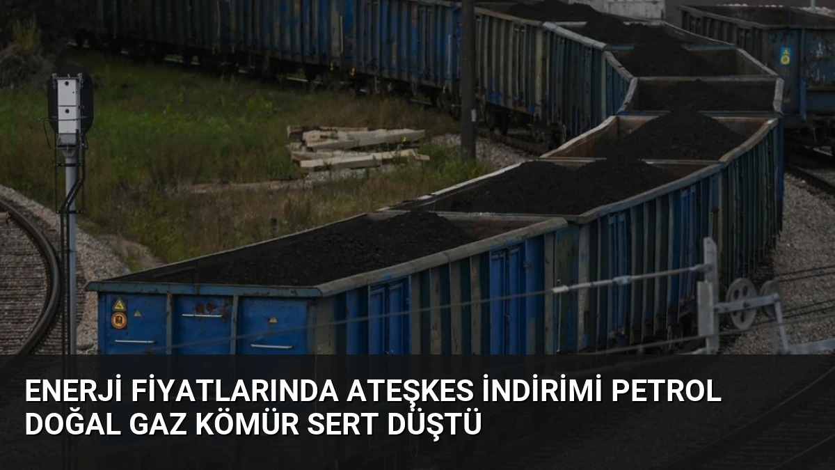 Enerji Fiyatlarında Ateşkes İndirimi Petrol Doğal Gaz Kömür Sert Düştü