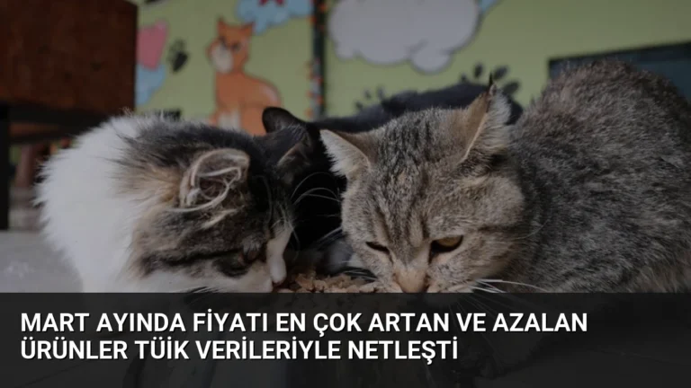 Mart Ayında Fiyatı En Çok Artan ve Azalan Ürünler TÜİK Verileriyle Netleşti