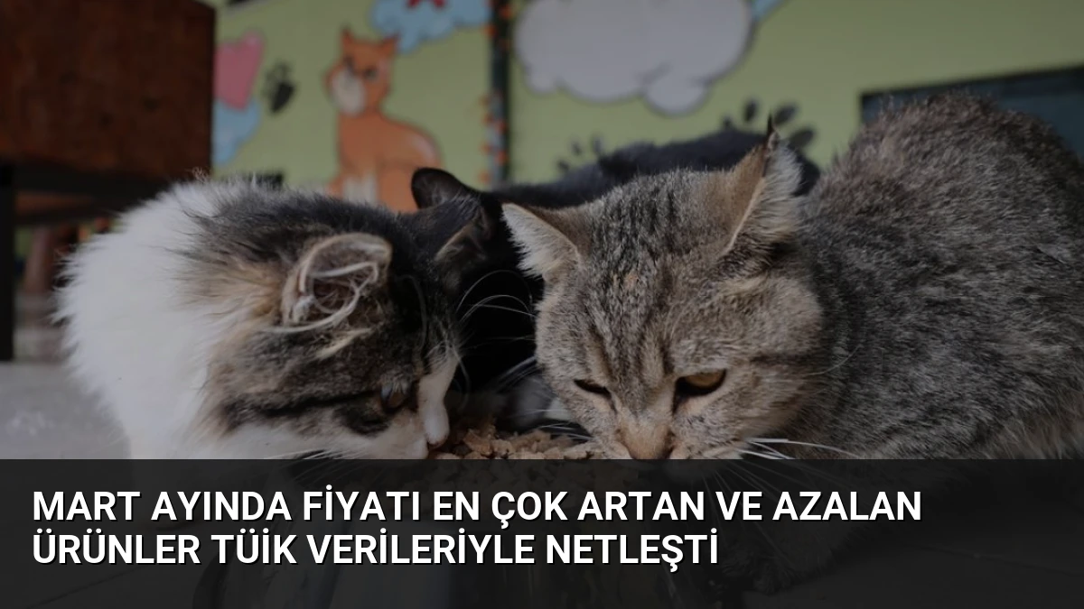 Mart Ayında Fiyatı En Çok Artan ve Azalan Ürünler TÜİK Verileriyle Netleşti