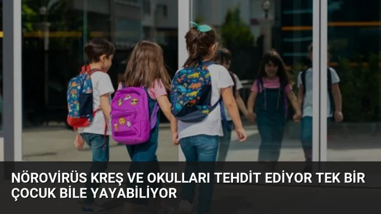Nörovirüs Kreş ve Okulları Tehdit Ediyor Tek Bir Çocuk Bile Yayabiliyor