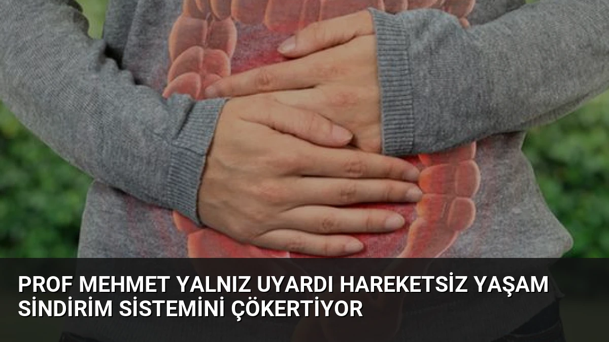 Prof Mehmet Yalnız Uyardı Hareketsiz Yaşam Sindirim Sistemini Çökertiyor