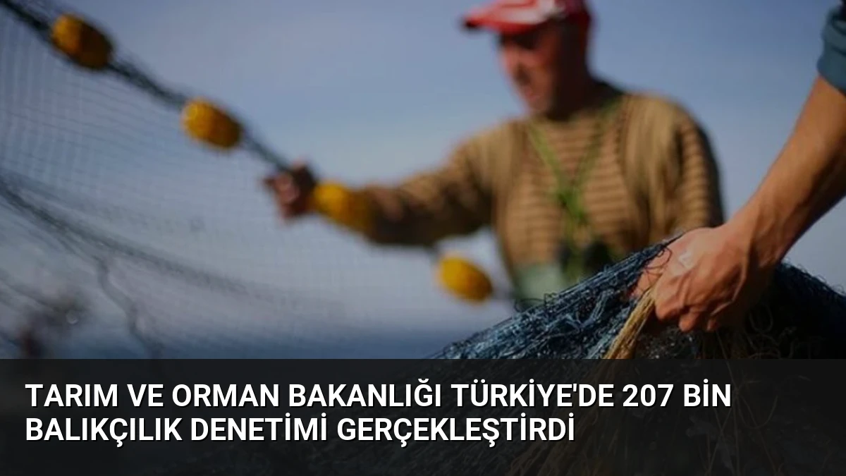Tarım ve Orman Bakanlığı Türkiye’de 207 Bin Balıkçılık Denetimi Gerçekleştirdi