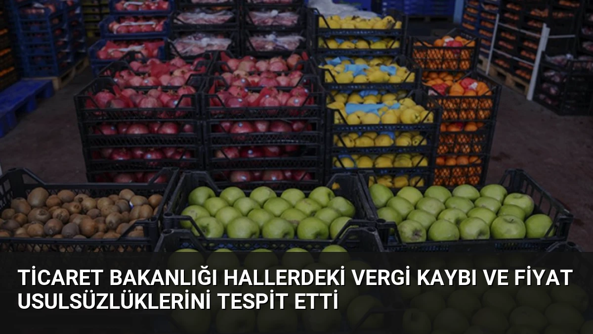 Ticaret Bakanlığı Hallerdeki Vergi Kaybı ve Fiyat Usulsüzlüklerini Tespit Etti