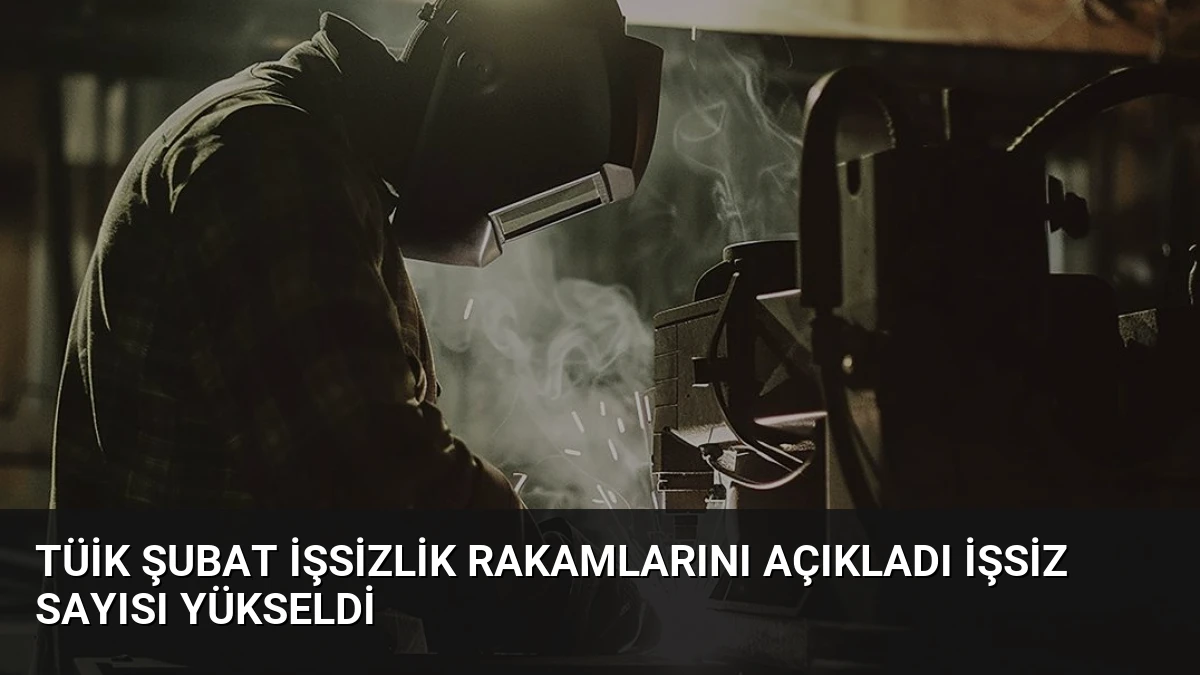 TÜİK Şubat İşsizlik Rakamlarını Açıkladı İşsiz Sayısı Yükseldi
