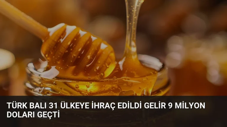 Türk Balı 31 Ülkeye İhraç Edildi Gelir 9 Milyon Doları Geçti
