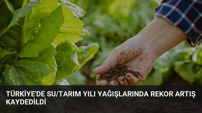 Türkiye’de su/tarım yılı yağışlarında rekor artış kaydedildi