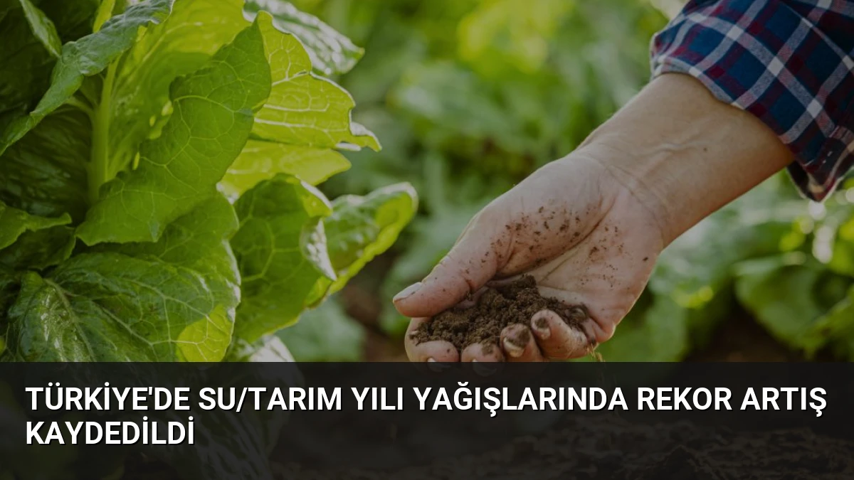 Türkiye’de su/tarım yılı yağışlarında rekor artış kaydedildi