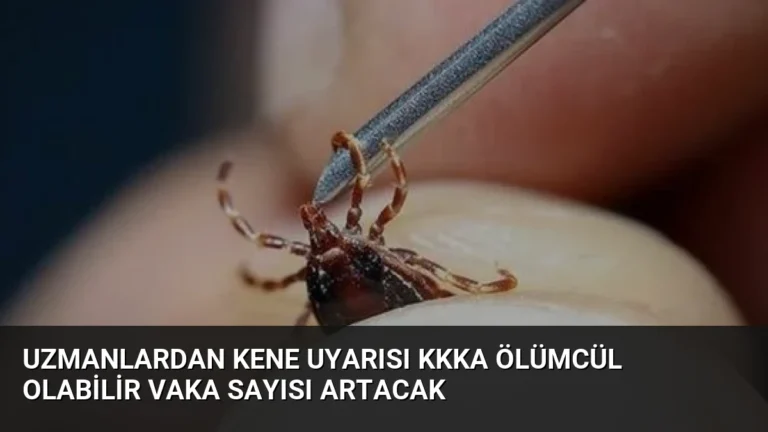 Uzmanlardan Kene Uyarısı KKKA Ölümcül Olabilir Vaka Sayısı Artacak