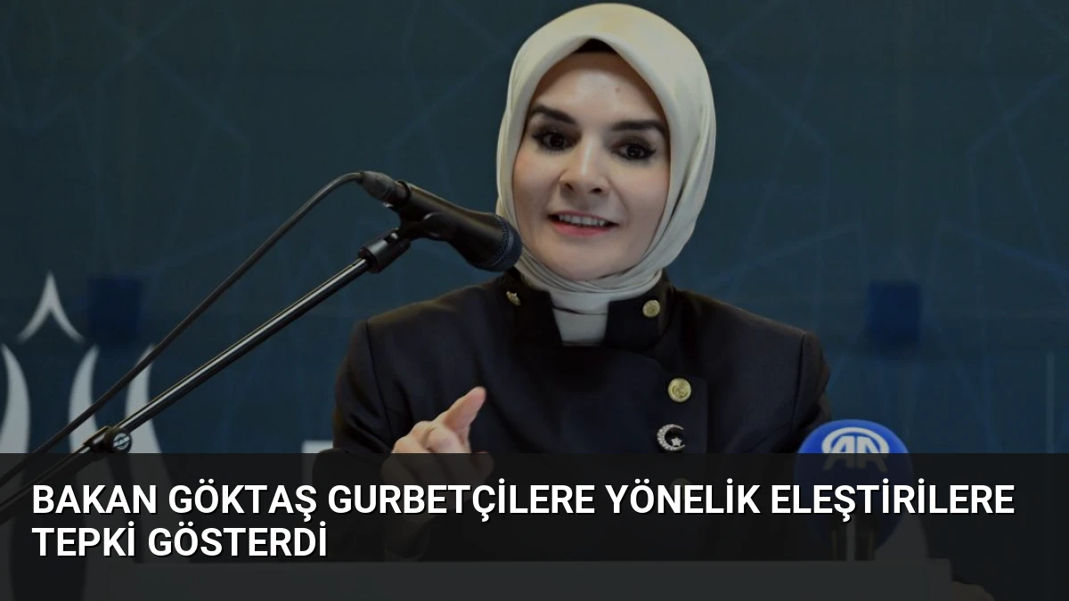 Bakan Göktaş Gurbetçilere Yönelik Eleştirilere Tepki Gösterdi