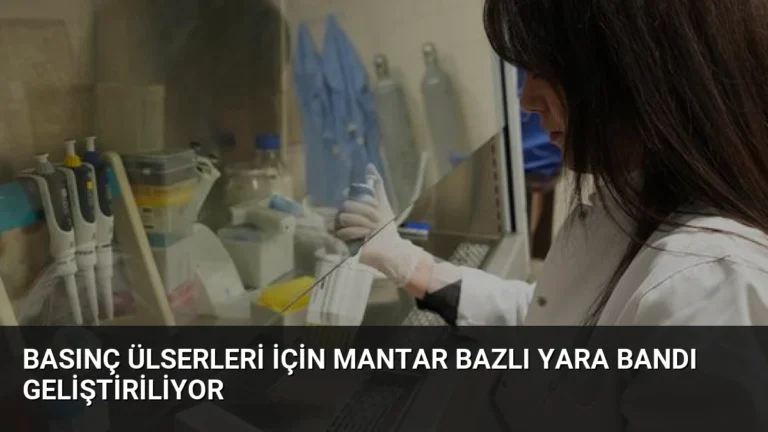 Basınç Ülserleri İçin Mantar Bazlı Yara Bandı Geliştiriliyor
