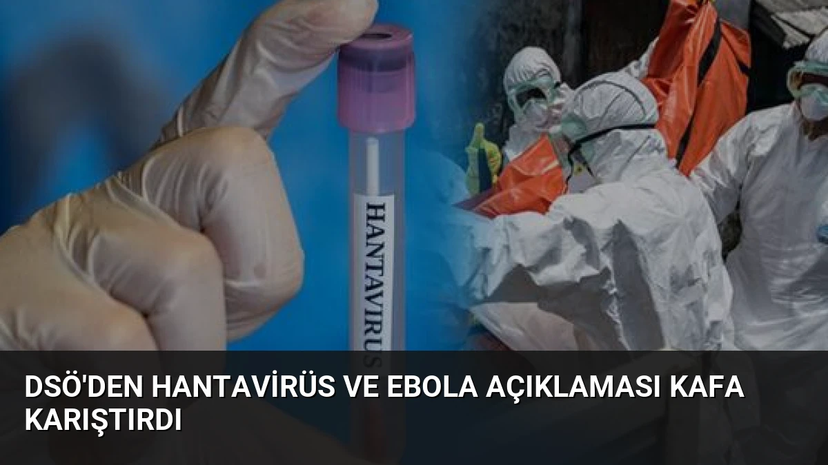DSÖ’den Hantavirüs ve Ebola Açıklaması Kafa Karıştırdı