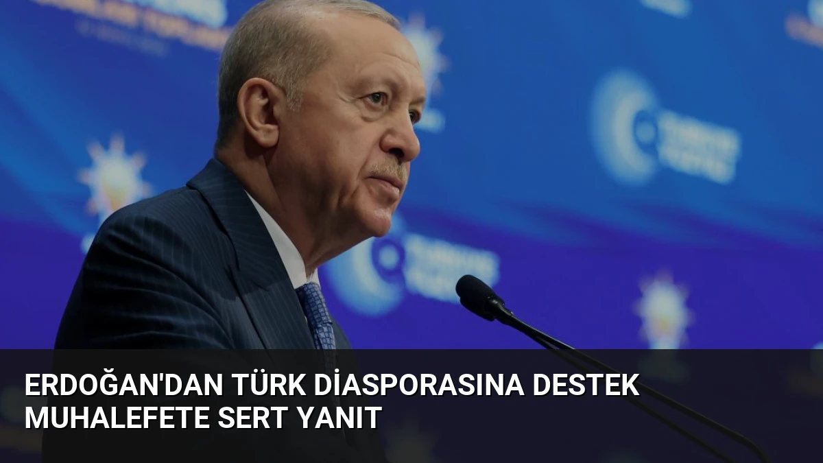 Erdoğan’dan Türk Diasporasına Destek Muhalefete Sert Yanıt