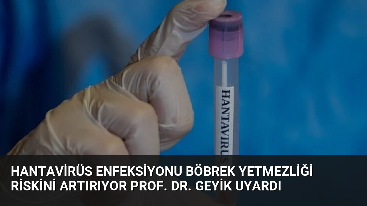 Hantavirüs Enfeksiyonu Böbrek Yetmezliği Riskini Artırıyor Prof. Dr. Geyik Uyardı