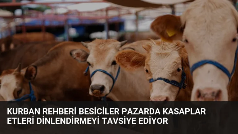 Kurban Rehberi Besiciler Pazarda Kasaplar Etleri Dinlendirmeyi Tavsiye Ediyor