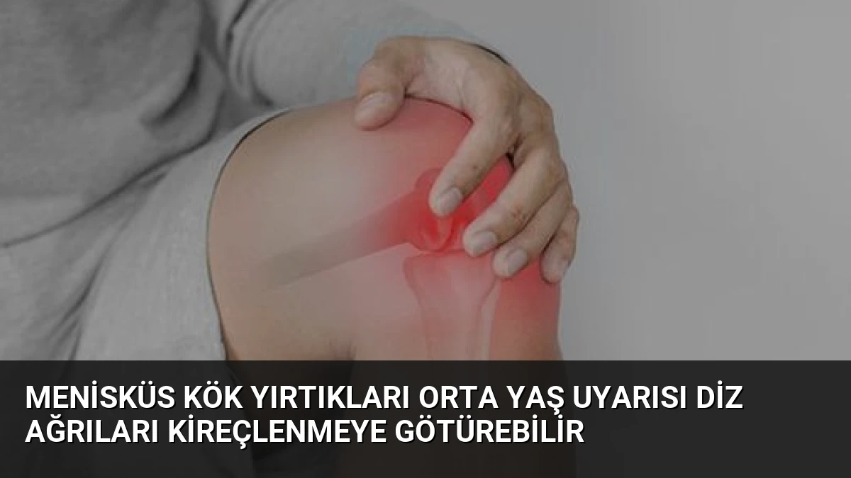 Menisküs Kök Yırtıkları Orta Yaş Uyarısı Diz Ağrıları Kireçlenmeye Götürebilir