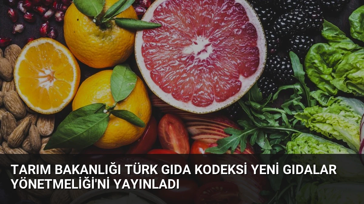 Tarım Bakanlığı Türk Gıda Kodeksi Yeni Gıdalar Yönetmeliği’ni Yayınladı