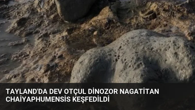 Tayland’da Dev Otçul Dinozor Nagatitan Chaiyaphumensis Keşfedildi