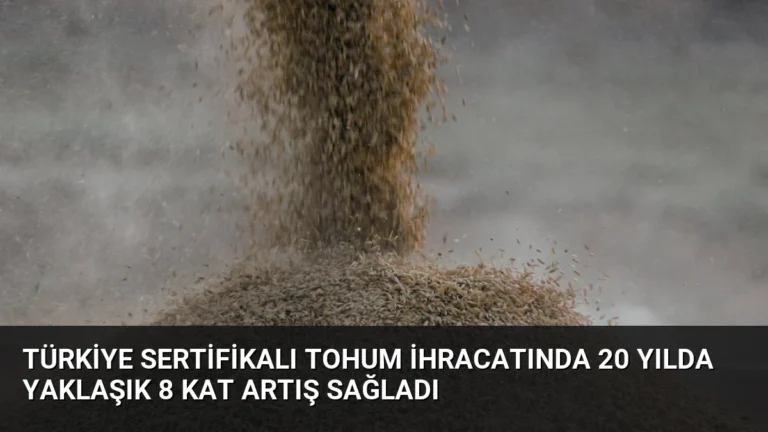 Türkiye Sertifikalı Tohum İhracatında 20 Yılda Yaklaşık 8 Kat Artış Sağladı
