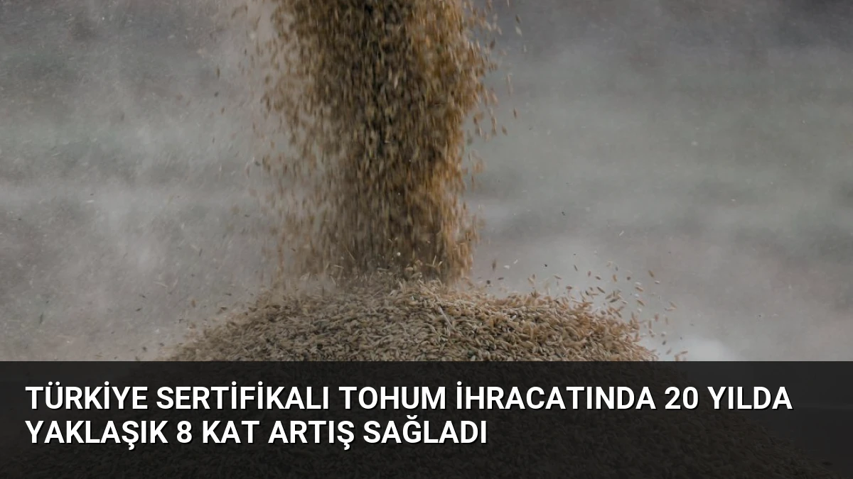 Türkiye Sertifikalı Tohum İhracatında 20 Yılda Yaklaşık 8 Kat Artış Sağladı