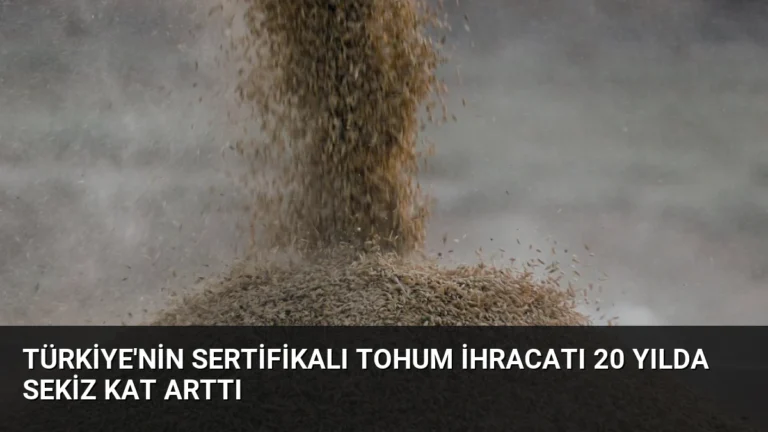 Türkiye’nin Sertifikalı Tohum İhracatı 20 Yılda Sekiz Kat Arttı