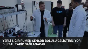 Yerli Sığır Rumen Sensör Bolusu Geliştiriliyor Dijital Takip Sağlanacak