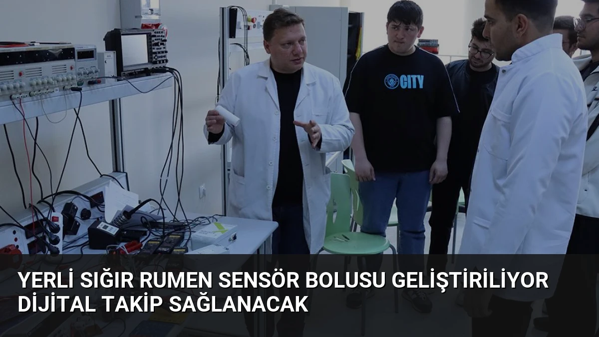 Yerli Sığır Rumen Sensör Bolusu Geliştiriliyor Dijital Takip Sağlanacak