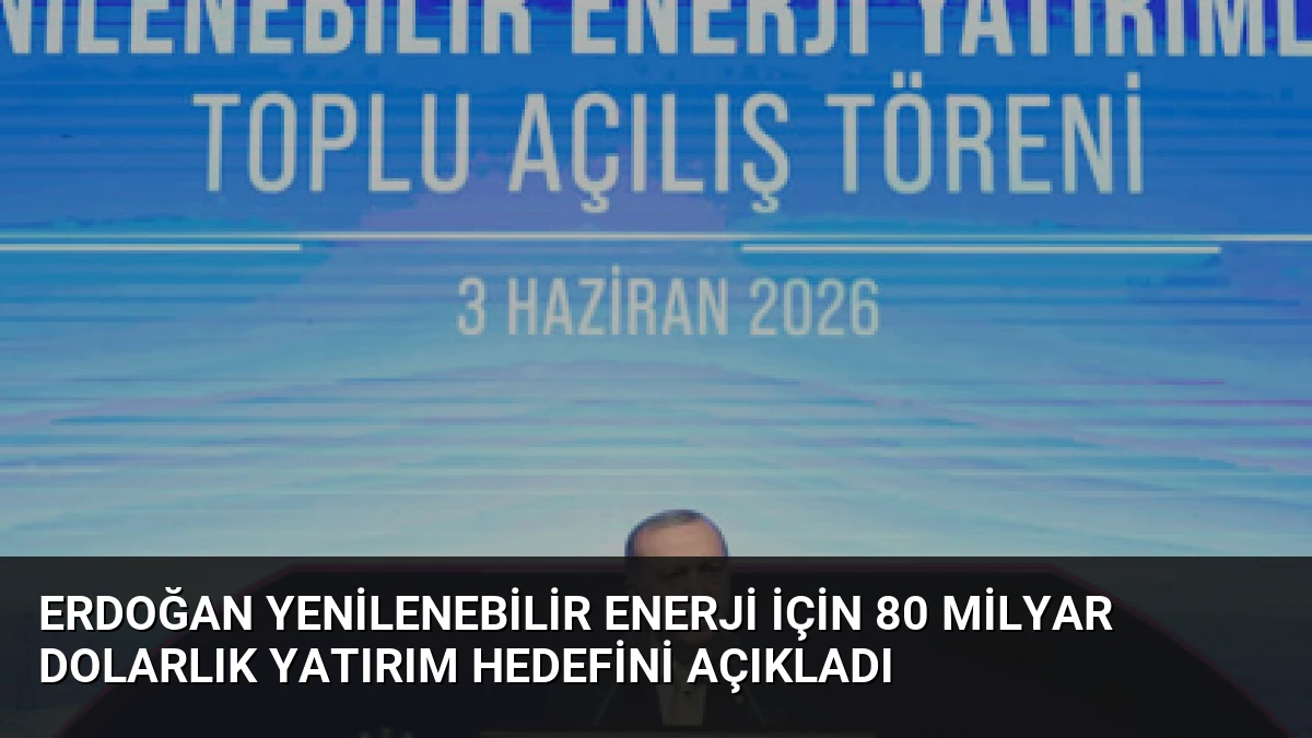 Erdoğan Yenilenebilir Enerji İçin 80 Milyar Dolarlık Yatırım Hedefini Açıkladı