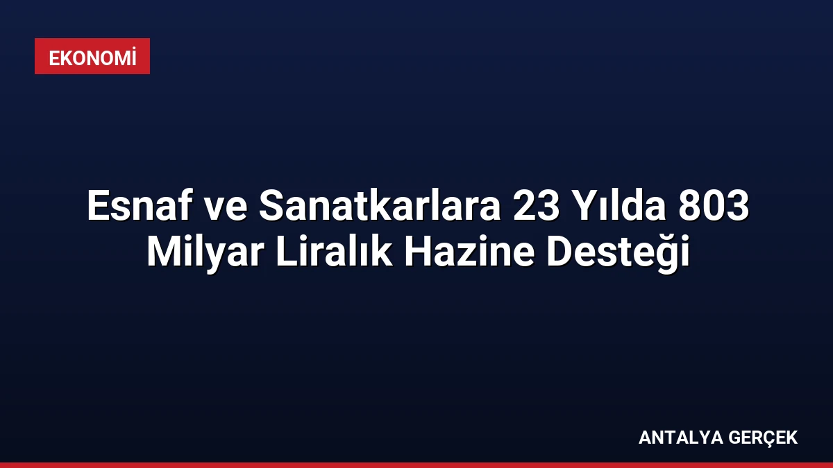 Esnaf ve Sanatkarlara 23 Yılda 803 Milyar Liralık Hazine Desteği