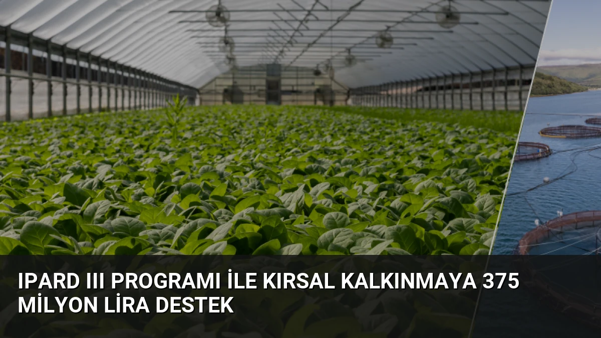 IPARD III Programı ile Kırsal Kalkınmaya 375 Milyon Lira Destek