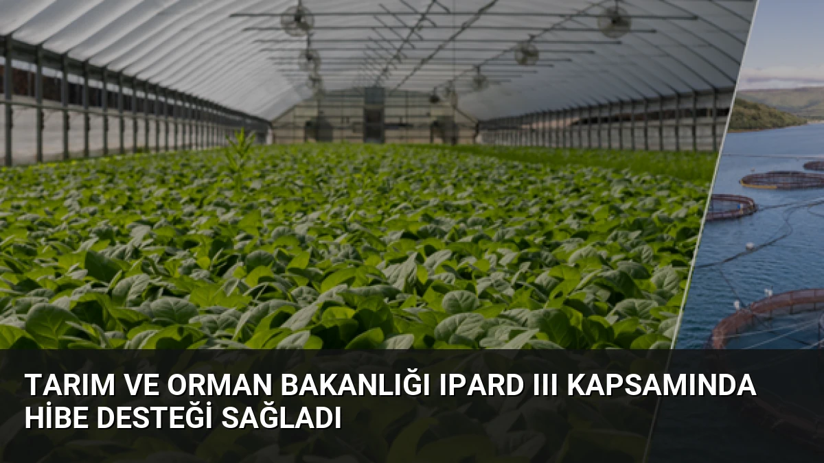 Tarım ve Orman Bakanlığı IPARD III kapsamında hibe desteği sağladı