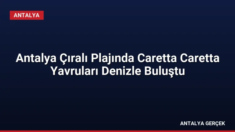 Antalya Çıralı Plajında Caretta Caretta Yavruları Denizle Buluştu