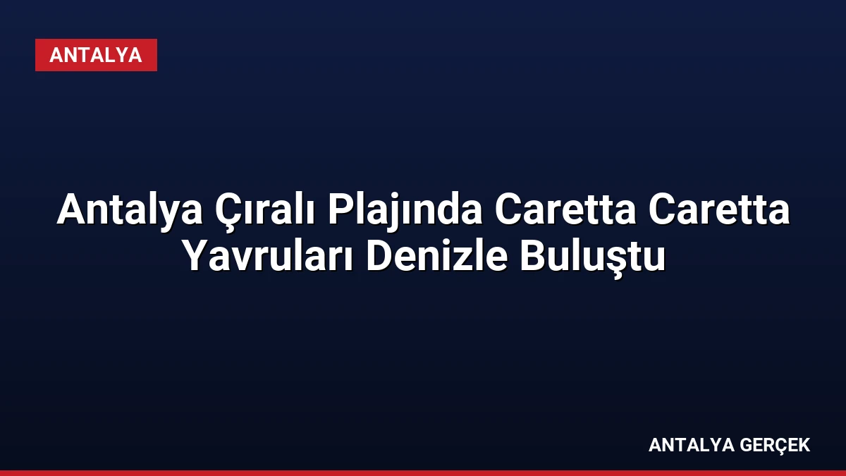 Antalya Çıralı Plajında Caretta Caretta Yavruları Denizle Buluştu