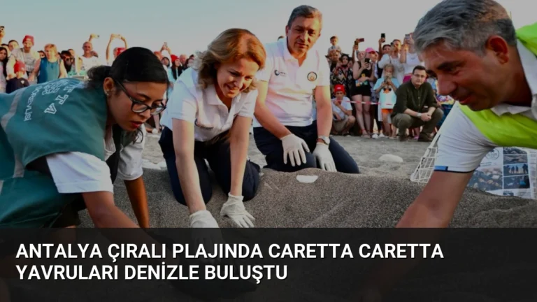Antalya Çıralı Plajında Caretta Caretta Yavruları Denizle Buluştu