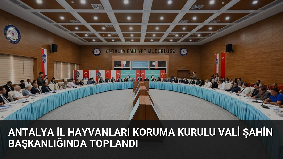 Antalya İl Hayvanları Koruma Kurulu Vali Şahin Başkanlığında Toplandı