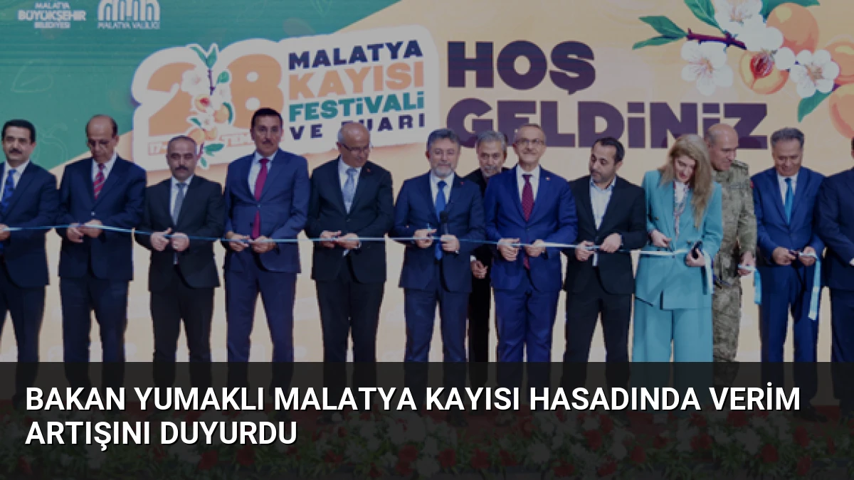Bakan Yumaklı Malatya Kayısı Hasadında Verim Artışını Duyurdu
