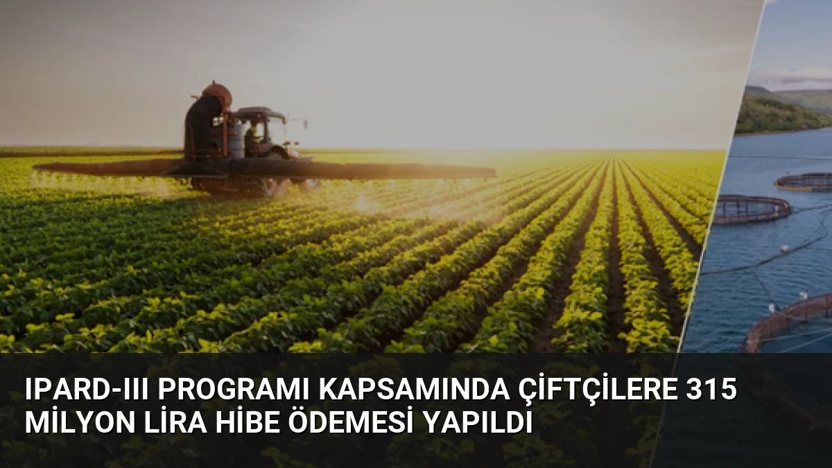 IPARD-III Programı Kapsamında Çiftçilere 315 Milyon Lira Hibe Ödemesi Yapıldı