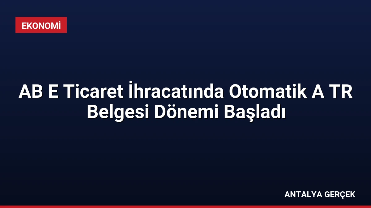 AB E Ticaret İhracatında Otomatik A TR Belgesi Dönemi Başladı
