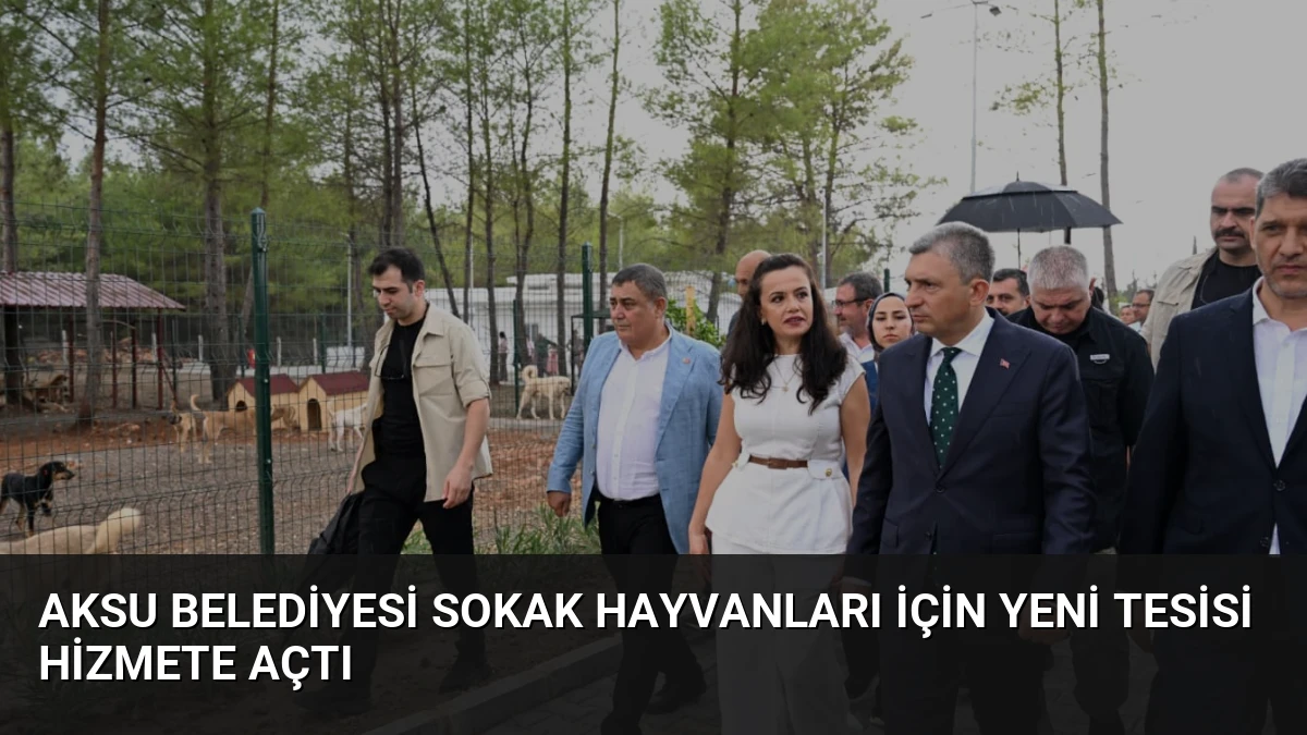 Aksu Belediyesi Sokak Hayvanları İçin Yeni Tesisi Hizmete Açtı