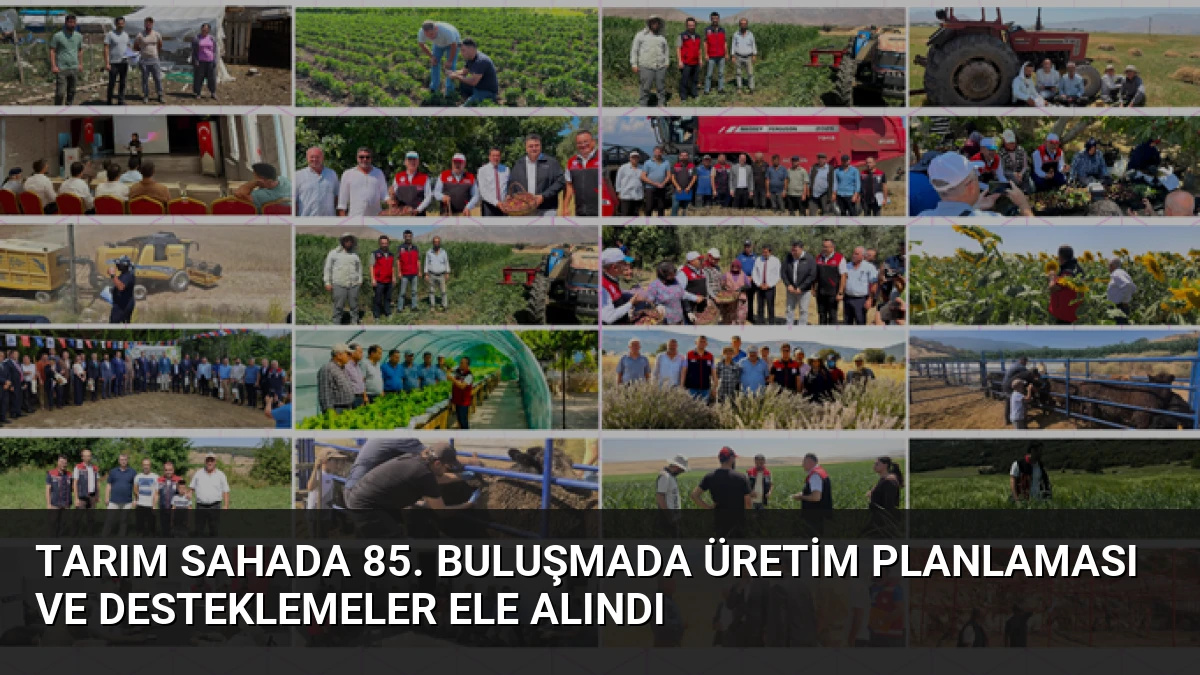 Tarım Sahada 85. Buluşmada Üretim Planlaması ve Desteklemeler Ele Alındı