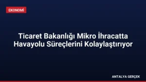 Ticaret Bakanlığı Mikro İhracatta Havayolu Süreçlerini Kolaylaştırıyor