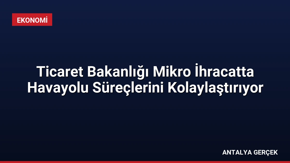 Ticaret Bakanlığı Mikro İhracatta Havayolu Süreçlerini Kolaylaştırıyor