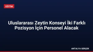 Uluslararası Zeytin Konseyi İki Farklı Pozisyon İçin Personel Alacak