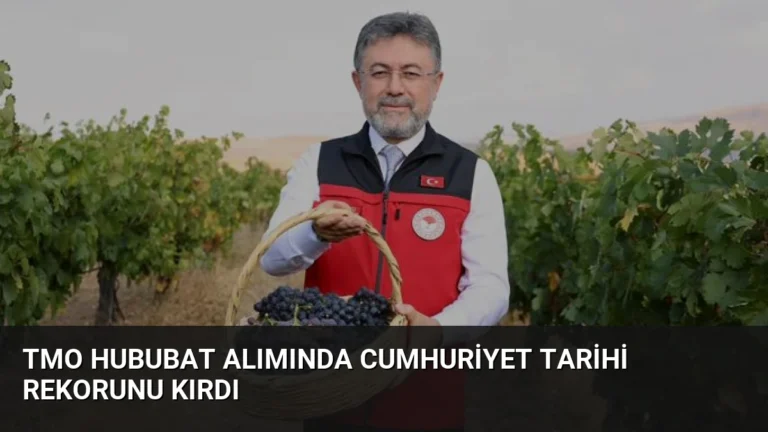 TMO Hububat Alımında Cumhuriyet Tarihi Rekorunu Kırdı