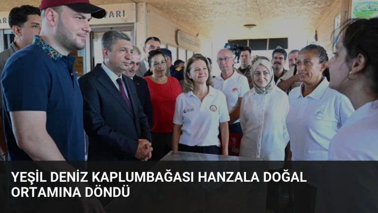 Yeşil Deniz Kaplumbağası Hanzala Doğal Ortamına Döndü