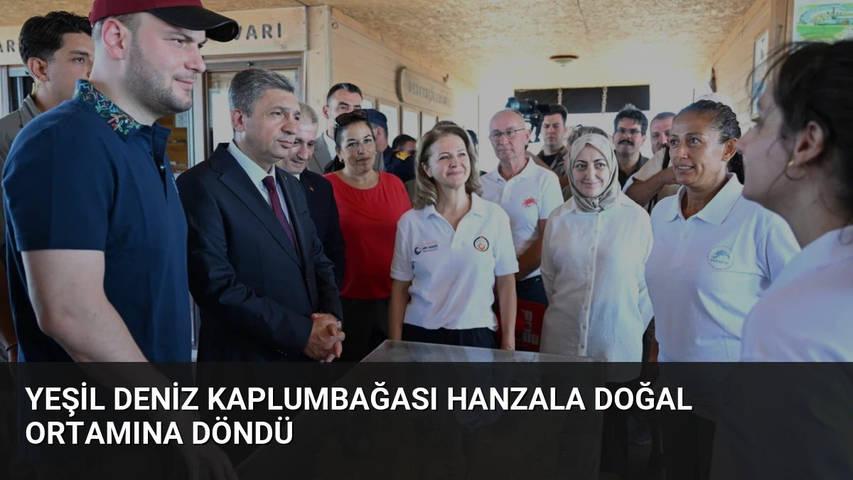 Yeşil Deniz Kaplumbağası Hanzala Doğal Ortamına Döndü