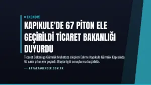 Kapıkule’de 67 Piton Ele Geçirildi Ticaret Bakanlığı Duyurdu