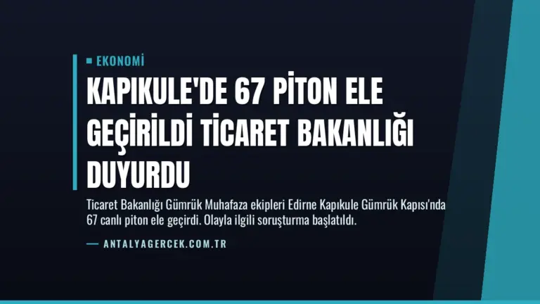 Kapıkule’de 67 Piton Ele Geçirildi Ticaret Bakanlığı Duyurdu