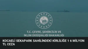 Kocaeli Sekapark sahilindeki kirliliğe 1 6 milyon TL ceza